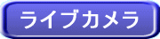ライブカメラ